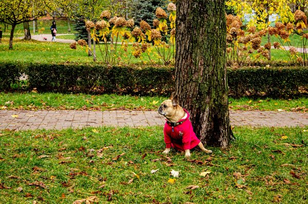 Ultimate Guide for UK Beginners: Safely Dive into High-Intensity Interval Training (HIIT)